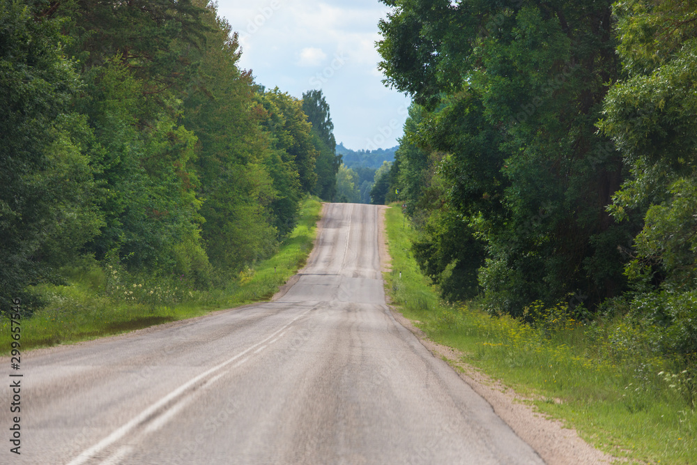 Fototapeta premium road in the summer forest