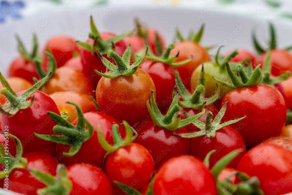 close up of wild tomatoes close up of wild tomatoes