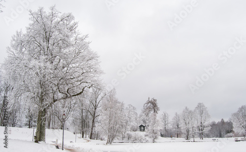 winter in park © indars18