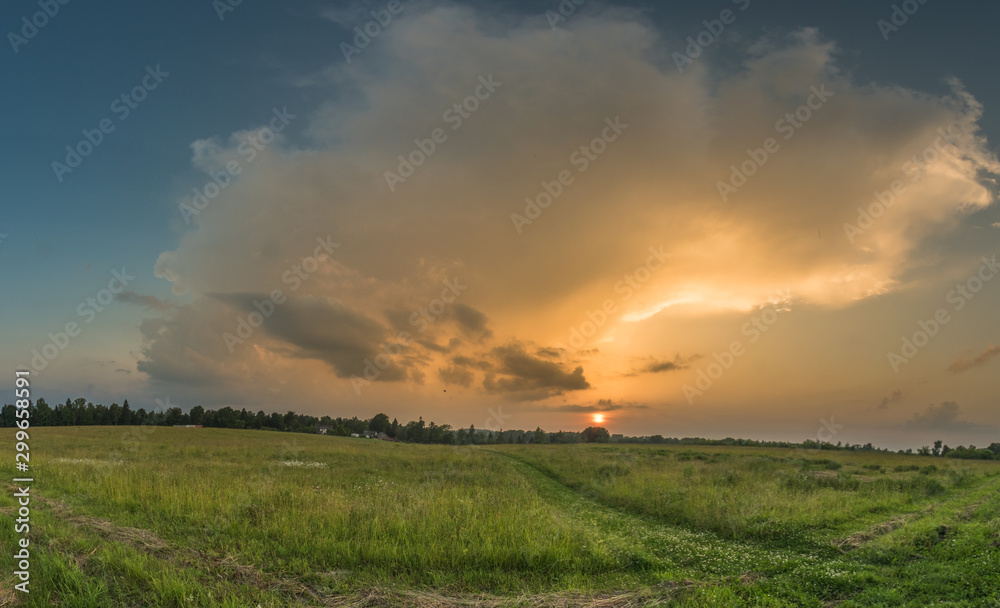 Obraz premium sunset over green field