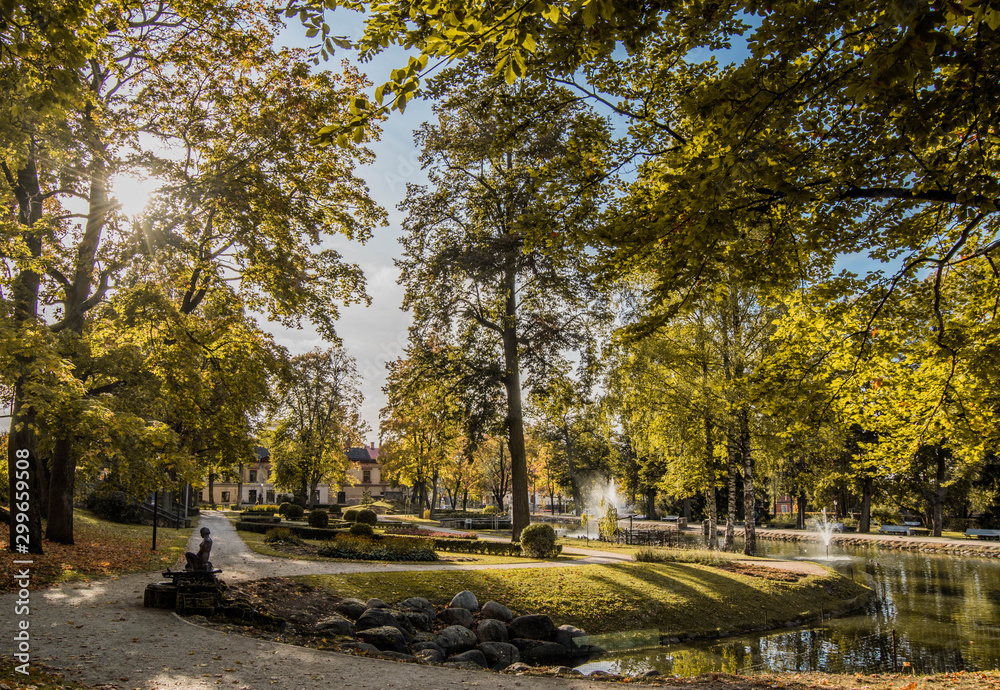 Naklejka premium autumn in the park