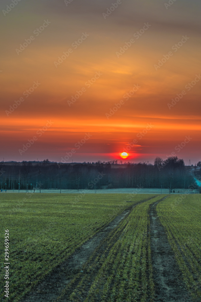 Fototapeta premium sunset over field