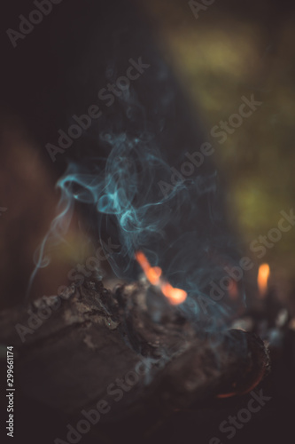 огонь , пламя, текстура, дым, горение, тлеющий, ясень, пепел , мангал,  дрова, угли,  размытость, лес, весна, деревья, ветки, кемпинг