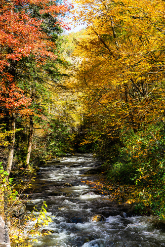 Appalachian Mountain Stream in Autumn Colors.