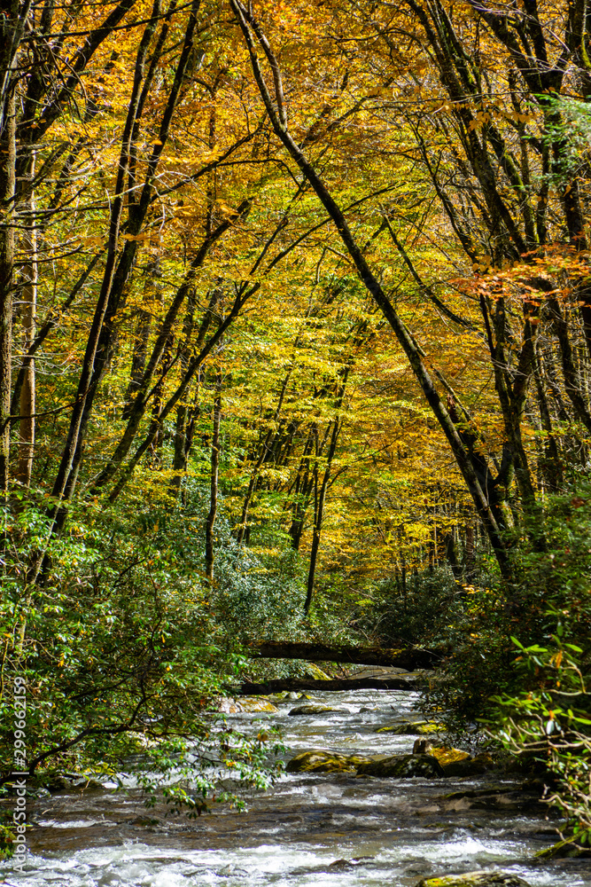 Appalachian Mountain Stream In Autumn Colors. Appalachian Mountain Stream In Autumn Colors.