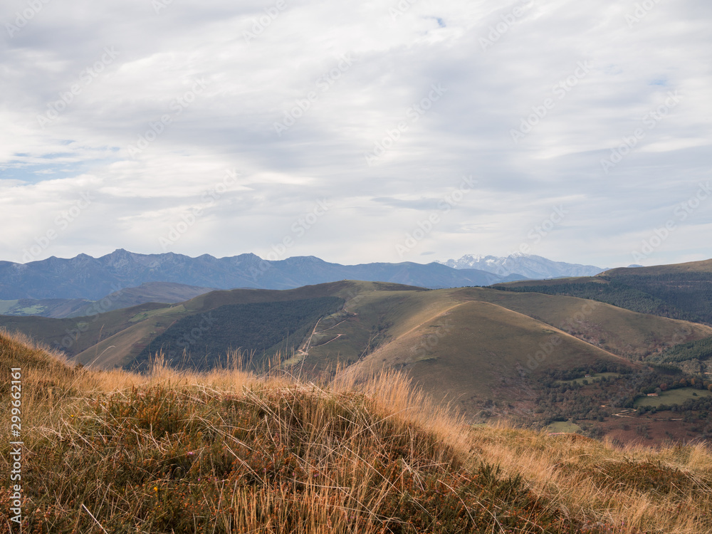 Obraz premium Paisaje montañoso de otoño con picos nevados al fondo en un día nublado