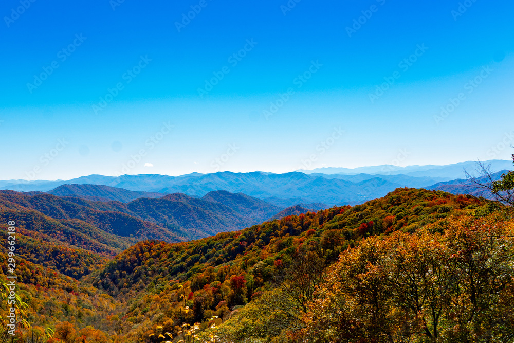 Autumn Vista from the blue Ridge Prkway.
