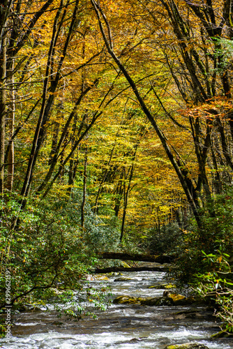 Appalachian Mountain Stream In Autumn Colors.