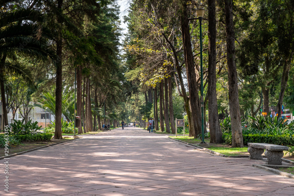 Park in Mexico City near the district of Polanco Park in Mexico City near the district of Polanco