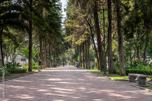 Park in Mexico City near the district of Polanco