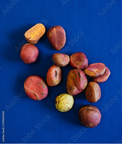 Kola nuts photo