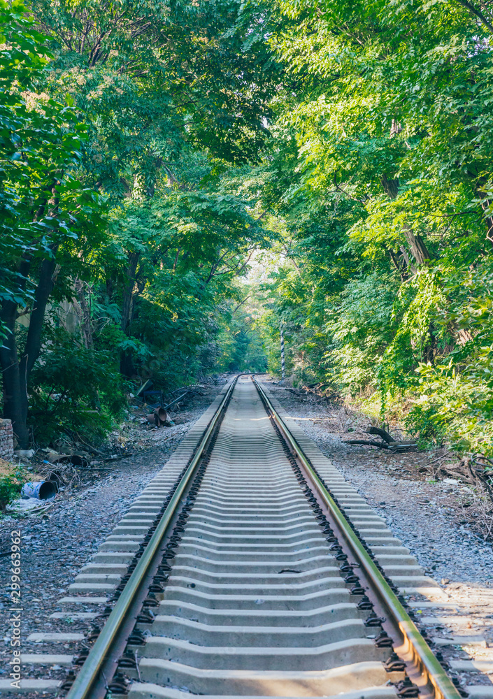 Rusty railroad tracks disappearing outdoors in green forest