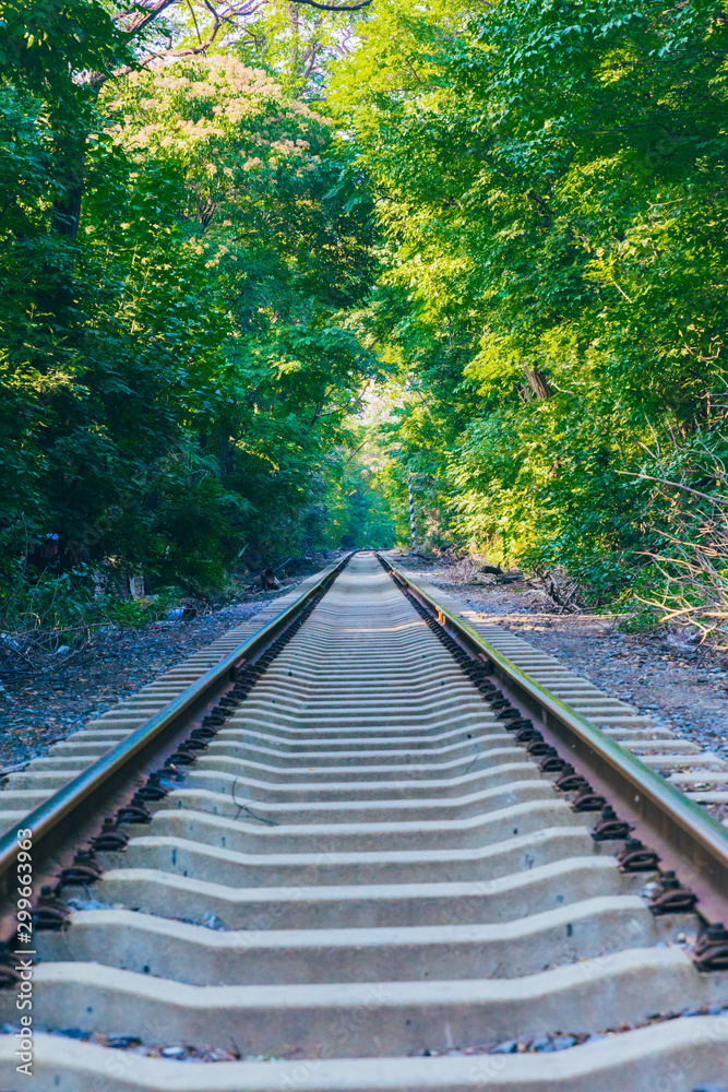 Rusty railroad tracks disappearing outdoors in green forest Rusty railroad tracks disappearing outdoors in green forest