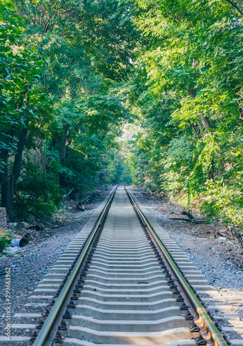 Rusty railroad tracks disappearing outdoors in green forest