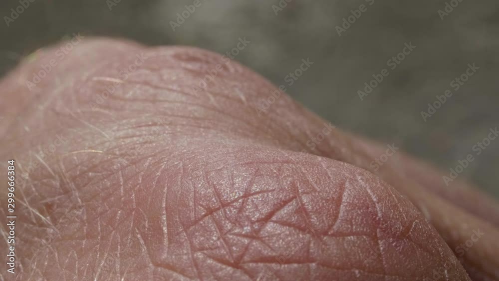 White detailed caucasian human skin on fist closeup in macro White detailed caucasian human skin on fist closeup in macro