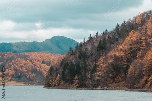 Autumn orange forest on mountains near the lake.