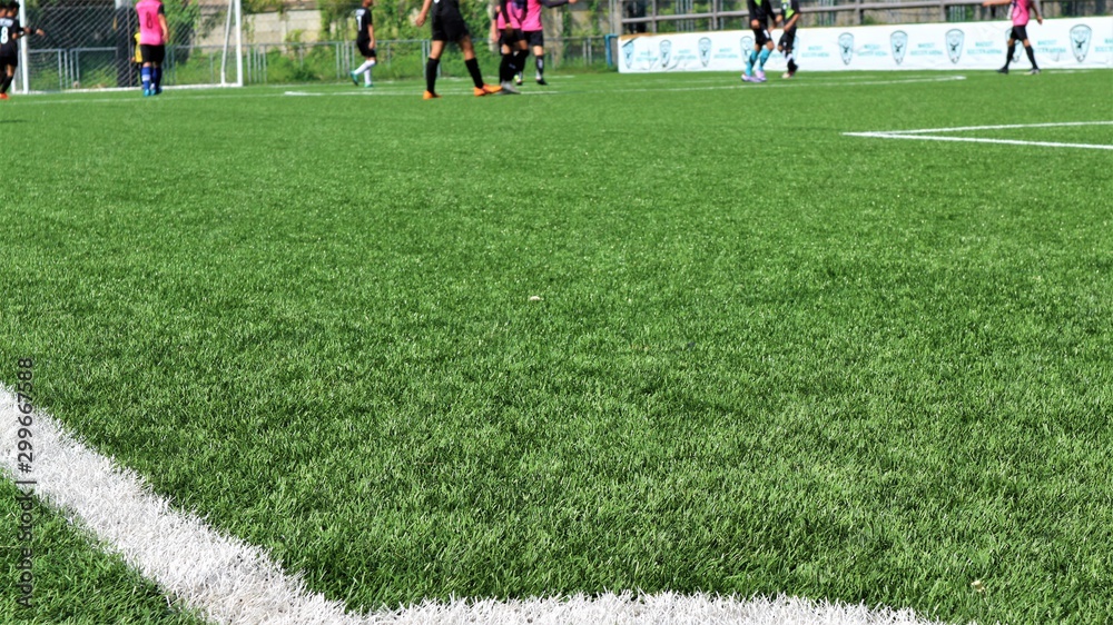 Obraz premium football on the field