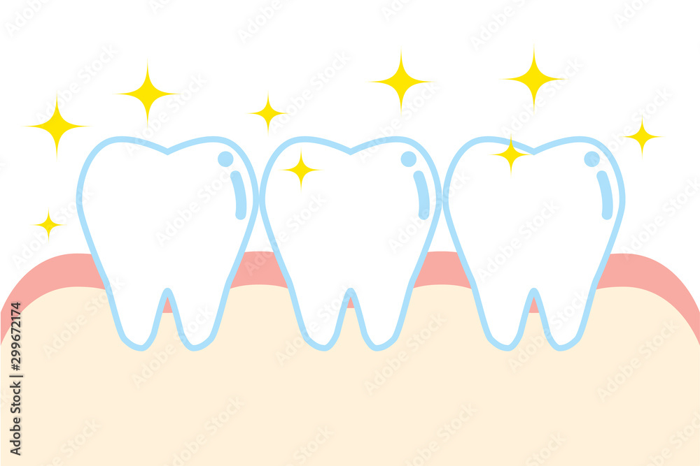 健康な歯と歯ぐきのイラスト character illustration of healthy tooth and gum 健康な歯と歯ぐきのイラスト character illustration of healthy tooth and gum
