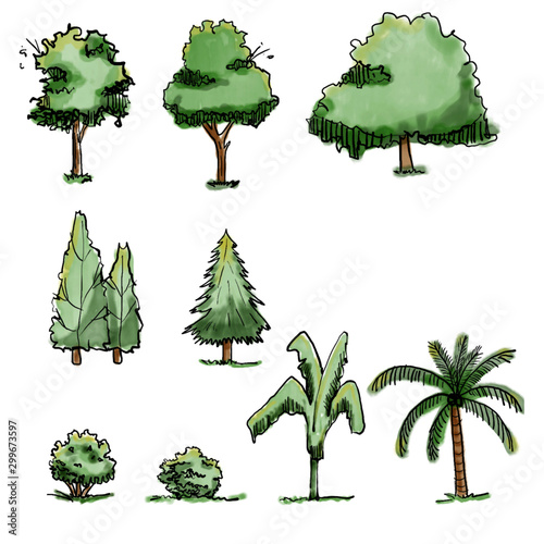 Set of side view sketching trees vector. Architecture tree elevation.