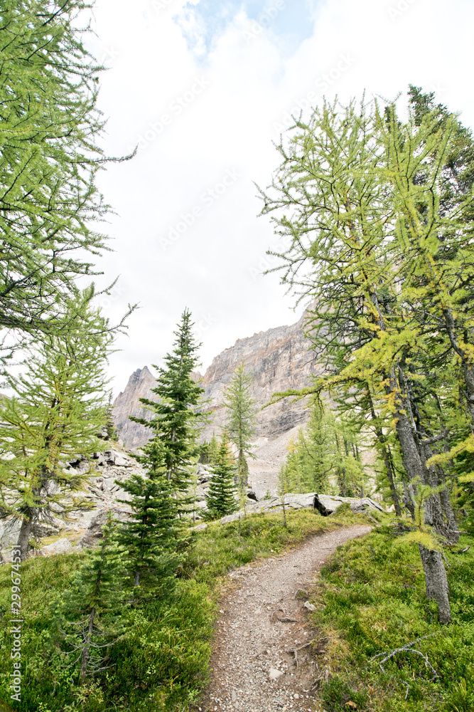 Hiking at Lake O’Hara area in Yoho national park Hiking at Lake O’Hara area in Yoho national park