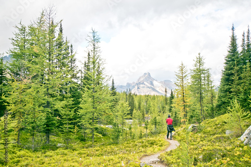 Hiking at Lake O’Hara area in Yoho national park photo