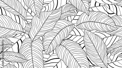 Foliage seamless pattern, leaves line art ink drawing in black and white