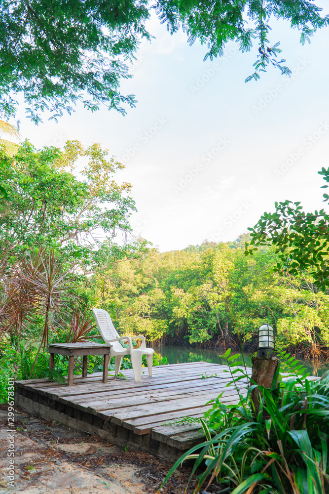 Beautiful view of lake and mangrove forest.