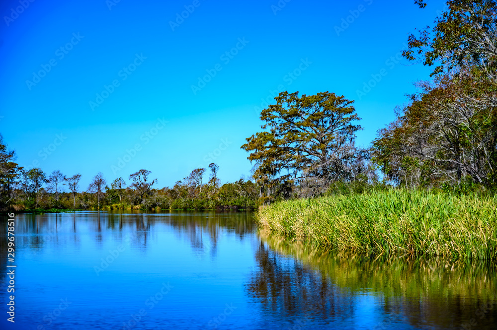 Obraz premium Lowcountry marsh land that was formerly rice fields in South Carolina