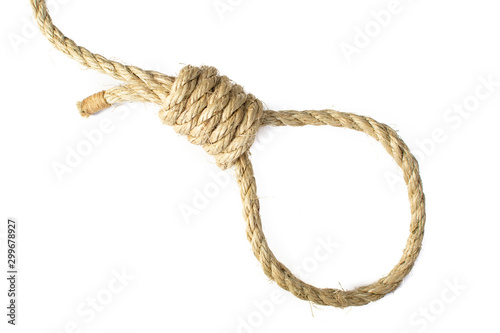 Fotografía Noose tied in natural Sisal Rope, isolated high key.