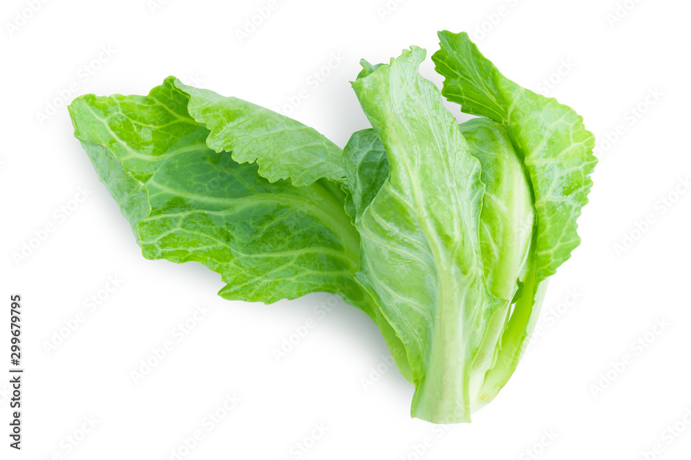 Young shoots of cabbage or Brussels sprout on isolated white background with clipping path. Young shoots of cabbage or Brussels sprout on isolated white background with clipping path.