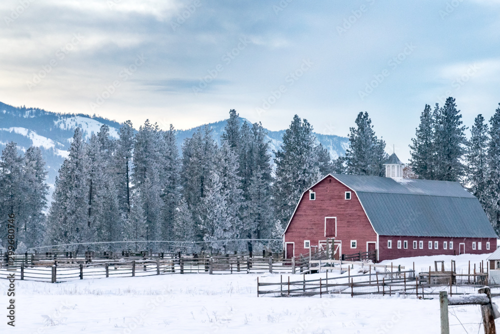 Old Red Barn at the Edge of an Evergreen Forest - Methow Valley, Washington, USA (Winter) 
