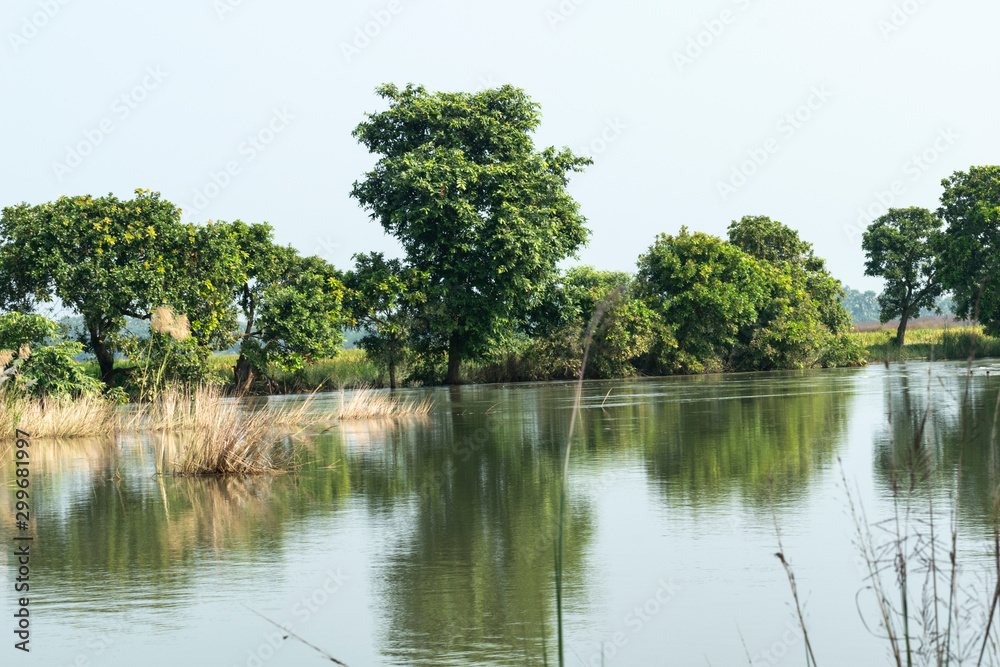 A beautiful river landscape with green trees reflecting in the water on a sunny day in the tropical jungle A beautiful river landscape with green trees reflecting in the water on a sunny day in the tropical jungle