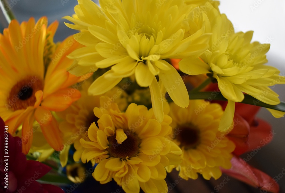 yellow floral yellow floral