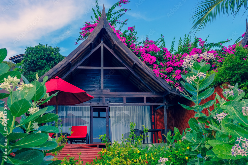 Beautiful villa with nice garden with green trees blooming pink shrubs Beautiful villa with nice garden with green trees blooming pink shrubs