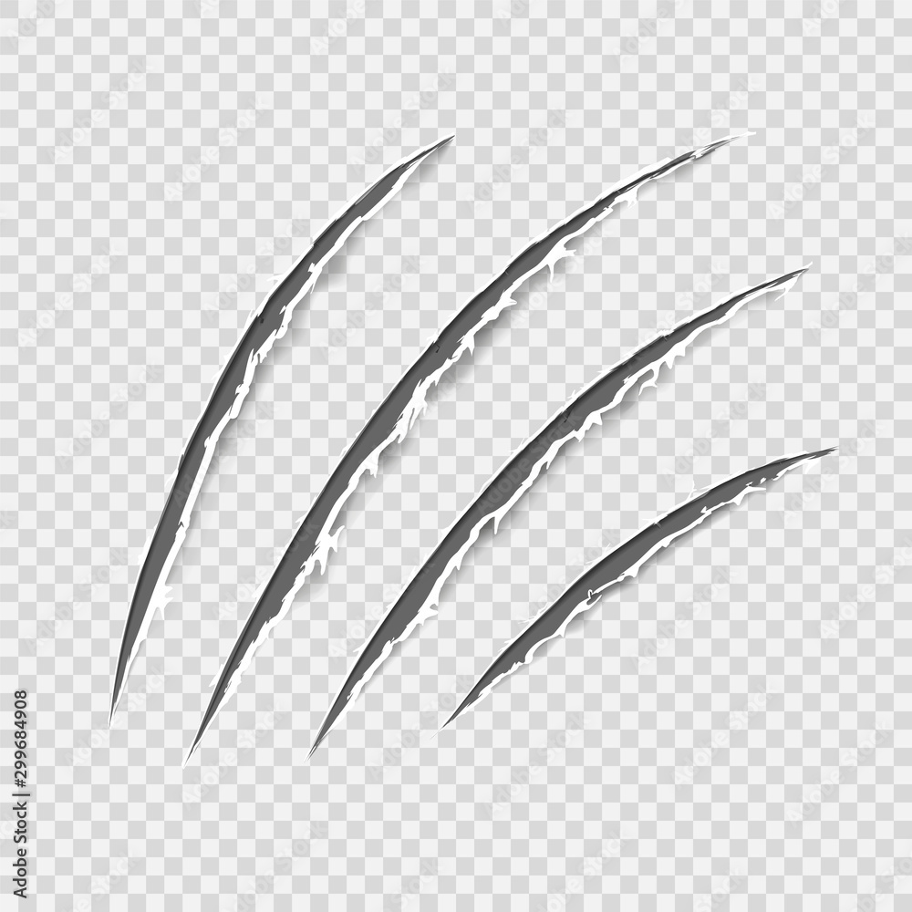 Black realistic claws animal scratch scrape track. Cat tiger scratches