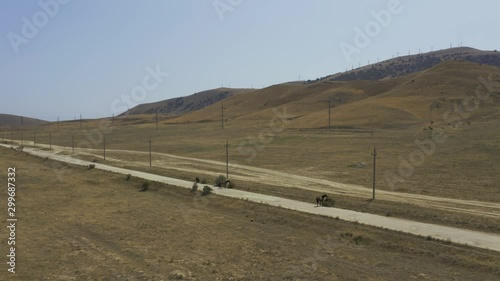 Aerial view wild hourse pasture on the dirt road in mountains photo