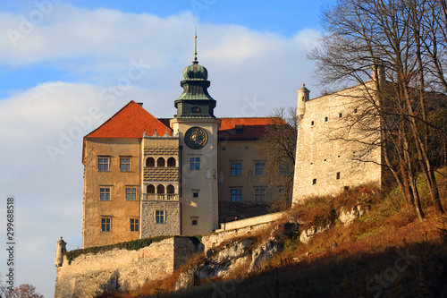 Obraz na płótnie Pieskowa Skala castle in the Ojcowski National Park, Poland w salonie