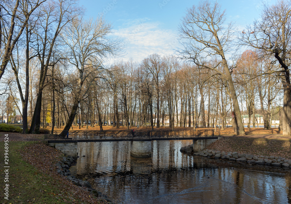 landscape with a foot bridge landscape with a foot bridge
