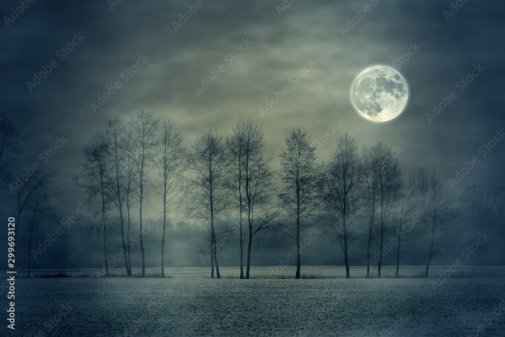 full moon and tree - obrazy, fototapety, plakaty 