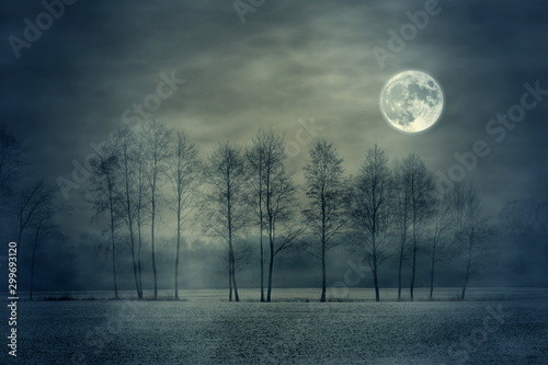 full moon and tree