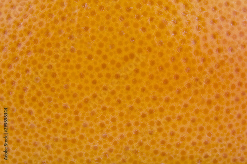 Orange skin texture of orange as background