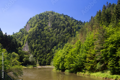 Dunajec River Gorge. Rygle Sokolicy Mount, Pieniny Mountains, Poland.