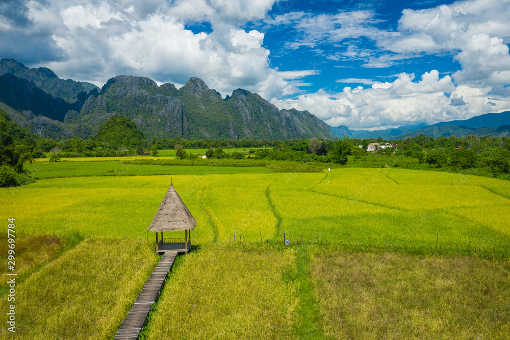 Aerial view of green rice fields and mountains, paddy field at Vang Vieng , Laos. Southeast Asia. Photo made by drone from above. Bird eye view.