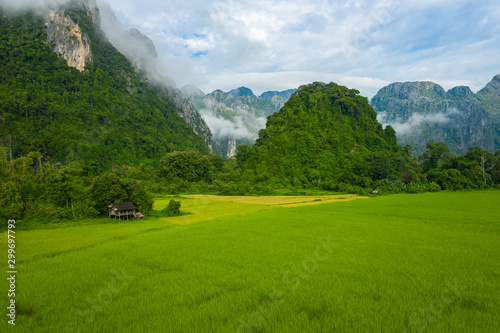 Aerial view of green rice fields and mountains, paddy field at Vang Vieng , Laos. Southeast Asia. Photo made by drone from above. Bird eye view.