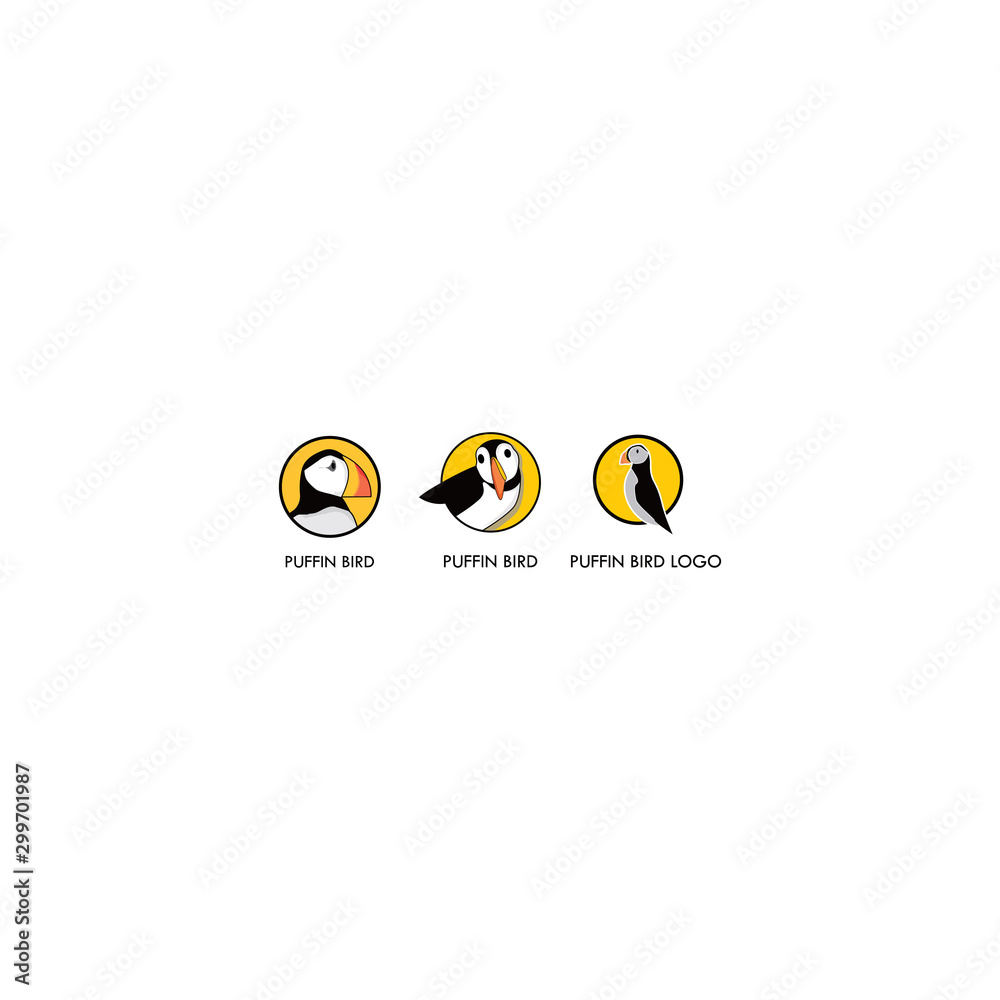 puffin bird puffin bird