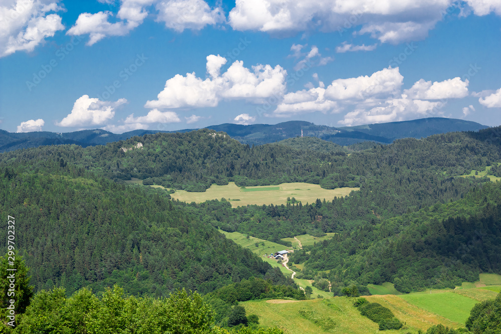 Lažna skala, Jarmuta Mount and Radziejowej Range at Background. View from near pod Plašnou, Pieniny, Slovakia.