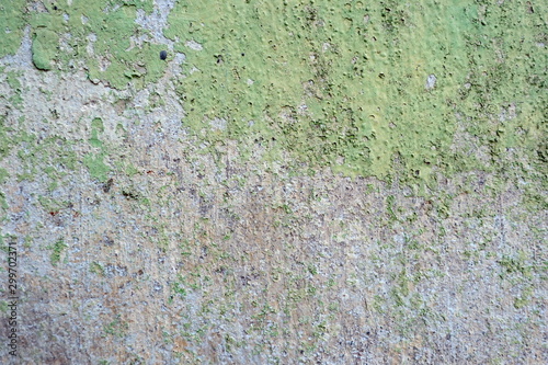 Grunge Cement Wall Texture. Moss background, Green moss on grunge texture.Walled walls are mossy and rusty.old wall texture with moss and water streaks close-up.Vintage texture of old building.