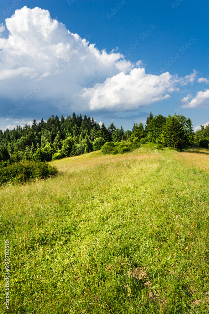 Pieniny Mountains in summer