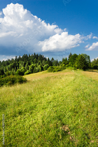 Pieniny Mountains in summer