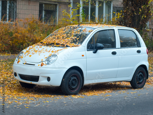 Fototapeta Naklejka Na Ścianę i Meble -  Autumn leaves fall on car window. White girl's  car under autumn tree